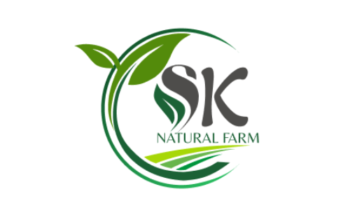 SK Logo